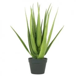 Ligne Déco Plantes D'intérieur Et Fleurs D'intérieur Plante Verte Artificielle Succulente Aloe Vera En Pot, H.60cm