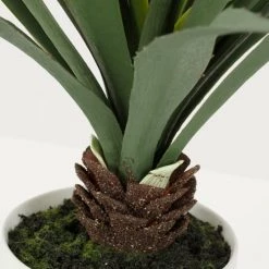 Ligne Déco Plantes D'intérieur Et Fleurs D'intérieur Plante Verte Artificielle Succulente Aloe Vera, H.55cm -Parasols Soldes Magasin plante verte artificielle succulente aloe vera h 55cm 3