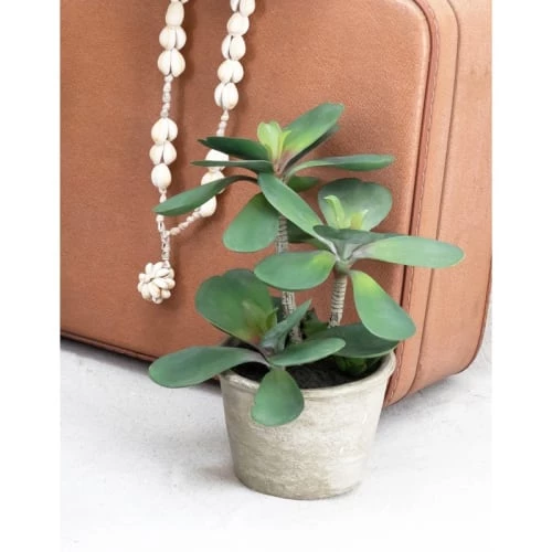 Ligne Déco Plantes D'intérieur Et Fleurs D'intérieur Plante Verte Artificielle Succulente Jade, Pot Ciment, H.30cm 4 Ligne Déco Plantes D'intérieur Et Fleurs D'intérieur Plante Verte Artificielle Succulente Jade, Pot Ciment, H.30cm – Image 2