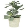 Ligne Déco Plantes D'intérieur Et Fleurs D'intérieur Plante Verte Artificielle Succulente Jade, Pot Ciment, H.30cm -Parasols Soldes Magasin plante verte artificielle succulente jade pot ciment h 30cm