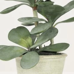 Ligne Déco Plantes D'intérieur Et Fleurs D'intérieur Plante Verte Artificielle Succulente Jade, Pot Ciment, H.30cm 8 Ligne Déco Plantes D'intérieur Et Fleurs D'intérieur Plante Verte Artificielle Succulente Jade, Pot Ciment, H.30cm -Parasols Soldes Magasin plante verte artificielle succulente jade pot ciment h 30cm 2