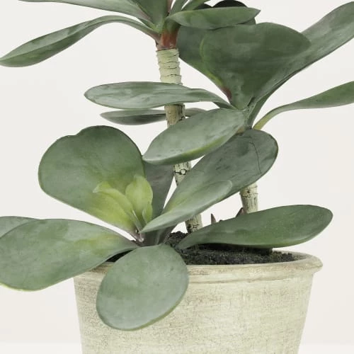Ligne Déco Plantes D'intérieur Et Fleurs D'intérieur Plante Verte Artificielle Succulente Jade, Pot Ciment, H.30cm 5 Ligne Déco Plantes D'intérieur Et Fleurs D'intérieur Plante Verte Artificielle Succulente Jade, Pot Ciment, H.30cm – Image 3