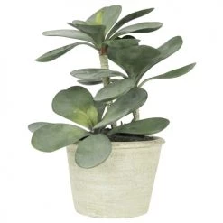 Ligne Déco Plantes D'intérieur Et Fleurs D'intérieur Plante Verte Artificielle Succulente Jade, Pot Ciment, H.30cm