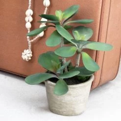 Ligne Déco Plantes D'intérieur Et Fleurs D'intérieur Plante Verte Artificielle Succulente Jade, Pot Ciment, H.30cm 9 Ligne Déco Plantes D'intérieur Et Fleurs D'intérieur Plante Verte Artificielle Succulente Jade, Pot Ciment, H.30cm -Parasols Soldes Magasin plante verte artificielle succulente jade pot ciment h 30cm 3