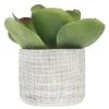 Ligne Déco Plantes D'intérieur Et Fleurs D'intérieur Plante Verte Artificielle Succulente, Pot Ciment, H.25cm -Parasols Soldes Magasin plante verte artificielle succulente pot ciment h 25cm