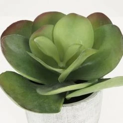 Ligne Déco Plantes D'intérieur Et Fleurs D'intérieur Plante Verte Artificielle Succulente, Pot Ciment, H.25cm -Parasols Soldes Magasin plante verte artificielle succulente pot ciment h 25cm 2