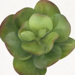 Ligne Déco Plantes D'intérieur Et Fleurs D'intérieur Plante Verte Artificielle Succulente, Pot Ciment, H.25cm -Parasols Soldes Magasin plante verte artificielle succulente pot ciment h 25cm 3