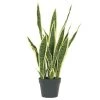 Ligne Déco Plantes D'intérieur Et Fleurs D'intérieur Plante Verte Artificielle Succulente Sanseveria En Pot, H.65cm -Parasols Soldes Magasin plante verte artificielle succulente sanseveria en pot h 65cm