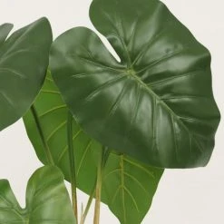 Ligne Déco Plantes D'intérieur Et Fleurs D'intérieur Plante Verte Artificielle Taro, Pot Céramique, H.55cm -Parasols Soldes Magasin plante verte artificielle taro pot ceramique h 55cm 2