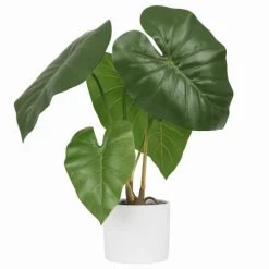Ligne Déco Plantes D'intérieur Et Fleurs D'intérieur Plante Verte Artificielle Taro, Pot Céramique, H.55cm