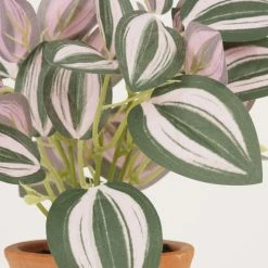 Ligne Déco Plantes D'intérieur Et Fleurs D'intérieur Plante Verte Artificielle Tradescantia Pot Terracotta H.20cm -Parasols Soldes Magasin plante verte artificielle tradescantia pot terracotta h 20cm 2