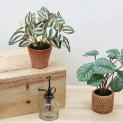 Ligne Déco Plantes D'intérieur Et Fleurs D'intérieur Plante Verte Artificielle Tradescantia Pot Terracotta H.20cm -Parasols Soldes Magasin plante verte artificielle tradescantia pot terracotta h 20cm 3