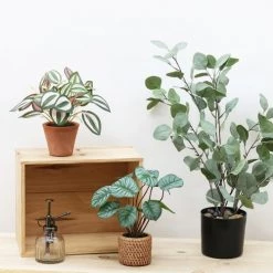 Ligne Déco Plantes D'intérieur Et Fleurs D'intérieur Plante Verte Artificielle Tradescantia Pot Terracotta H.20cm -Parasols Soldes Magasin plante verte artificielle tradescantia pot terracotta h 20cm 4