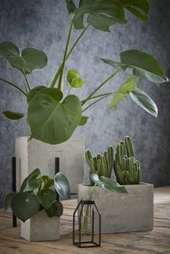 Mica Decorations Pots, Cache-pots Et Jardinières D'extérieur Porte-plants En Métal Noir H25 -Parasols Soldes Magasin porte plants en metal noir h25 4