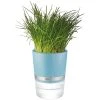 GEFU Plantes D'intérieur Et Fleurs D'intérieur Pot D'herbes En Plastique Bleu -Parasols Soldes Magasin pot d herbes en plastique bleu 1