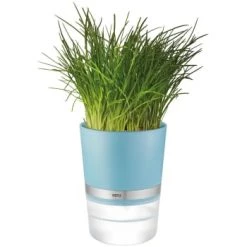 GEFU Plantes D'intérieur Et Fleurs D'intérieur Pot D'herbes En Plastique Bleu -Parasols Soldes Magasin pot d herbes en plastique bleu 3
