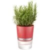 GEFU Plantes D'intérieur Et Fleurs D'intérieur Pot D'herbes En Plastique Rouge -Parasols Soldes Magasin pot d herbes en plastique rouge