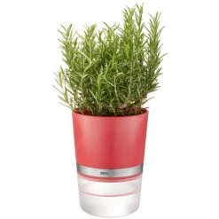 GEFU Plantes D'intérieur Et Fleurs D'intérieur Pot D'herbes En Plastique Rouge