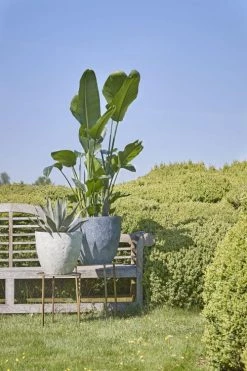 Mica Decorations Pots, Cache-pots Et Jardinières D'extérieur Pot De Fleurs En Plastique Gris Clair Ardoise D45 -Parasols Soldes Magasin pot de fleurs en plastique gris clair ardoise d45 5