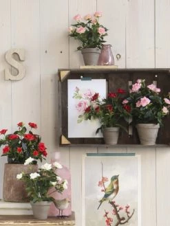 Mica Decorations Plantes D'intérieur Et Fleurs D'intérieur Rosier Artificielle Blanches En Pot H33 -Parasols Soldes Magasin rosier artificielle blanches en pot h33 4