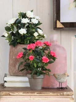 Mica Decorations Plantes D'intérieur Et Fleurs D'intérieur Rosier Artificielle Blanches En Pot H33 -Parasols Soldes Magasin rosier artificielle blanches en pot h33 5