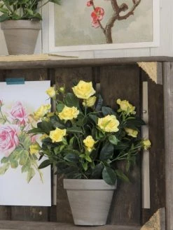 Mica Decorations Plantes D'intérieur Et Fleurs D'intérieur Rosier Artificielle Jaune En Pot H33 -Parasols Soldes Magasin rosier artificielle jaune en pot h33 1