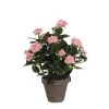 Mica Decorations Plantes D'intérieur Et Fleurs D'intérieur Rosier Artificielle Rose En Pot H33 -Parasols Soldes Magasin rosier artificielle rose en pot h33