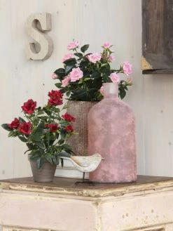 Mica Decorations Plantes D'intérieur Et Fleurs D'intérieur Rosier Artificielle Rose En Pot H33 -Parasols Soldes Magasin rosier artificielle rose en pot h33 5