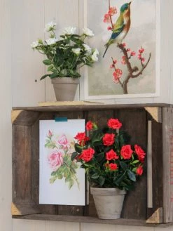 Mica Decorations Plantes D'intérieur Et Fleurs D'intérieur Rosier Artificielle Rouges En Pot H33 -Parasols Soldes Magasin rosier artificielle rouges en pot h33 1