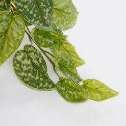 Mica Decorations Plantes D'intérieur Et Fleurs D'intérieur Scindapsus Artificielle En Pot H44 -Parasols Soldes Magasin scindapsus artificielle en pot h44 2