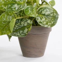 Mica Decorations Plantes D'intérieur Et Fleurs D'intérieur Scindapsus Artificielle En Pot H44 -Parasols Soldes Magasin scindapsus artificielle en pot h44 3