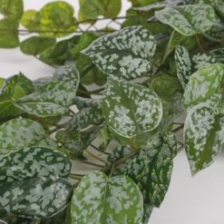 Mica Decorations Plantes D'intérieur Et Fleurs D'intérieur Scindapsus Artificielle Suspendu H129 -Parasols Soldes Magasin scindapsus artificielle suspendu h129 1