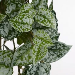 Mica Decorations Plantes D'intérieur Et Fleurs D'intérieur Scindapsus Artificielle Suspendu H86 -Parasols Soldes Magasin scindapsus artificielle suspendu h86 2