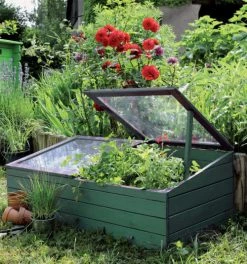 Jardipolys Pots, Cache-pots Et Jardinières D'extérieur Serre Double En Pin Autoclavé à Peindre -Parasols Soldes Magasin serre double en pin autoclave a peindre 2