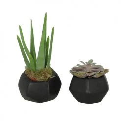 Now’s Home Pots, Cache-pots Et Jardinières D'extérieur Set De 2 Caches Pots Jais En Béton Noir -Parasols Soldes Magasin set de 2 caches pots jais en beton noir 3