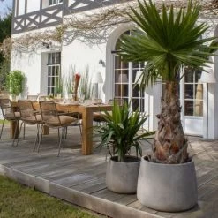 Now’s Home Pots, Cache-pots Et Jardinières D'extérieur Set De 2 Pots Ronds En Terre D'argile Forme Basse D41cm Et D55cm -Parasols Soldes Magasin set de 2 pots ronds en terre d argile forme basse d41cm et d55cm 3