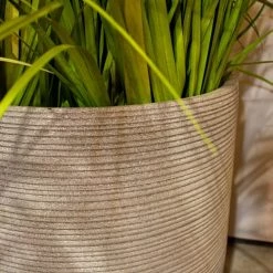 Now’s Home Pots, Cache-pots Et Jardinières D'extérieur Set De 2 Pots Ronds En Terre D'argile Taupe -Parasols Soldes Magasin set de 2 pots ronds en terre d argile taupe 4