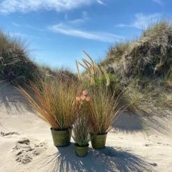 Pirouette Paris Plantes D'intérieur Et Fleurs D'intérieur Stipa Artificielle Avec Pot En Zinc H76 -Parasols Soldes Magasin stipa artificielle avec pot en zinc h76 3