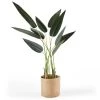 Oviala Plantes D'intérieur Et Fleurs D'intérieur Strelitzia Artificiel Avec Pot H90cm -Parasols Soldes Magasin strelitzia artificiel avec pot h90cm