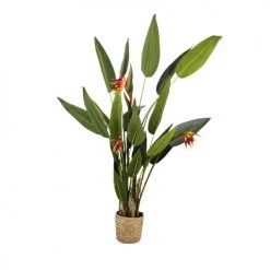Maisons Du Monde Plantes D'extérieur Artificielles Strelitzia Artificiel Et Pot Tressé H180