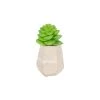 Sia Deco Plantes D'intérieur Et Fleurs D'intérieur Succulente Artificielle En Pot En Argile -Parasols Soldes Magasin succulente artificielle en pot en argile