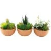 Sil Plantes D'intérieur Et Fleurs D'intérieur Succulentes Artificielles En Pot Terracotta 12 X 13.5 Cm (lot De 3) 1 Sil Plantes D'intérieur Et Fleurs D'intérieur Succulentes Artificielles En Pot Terracotta 12 X 13.5 Cm (lot De 3) -Parasols Soldes Magasin succulentes artificielles en pot terracotta 12 x 13 5 cm lot de 3
