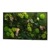 Naturalys Plantes D'intérieur Et Fleurs D'intérieur Tableau Végétal Rectangle XL 100x60cm -Parasols Soldes Magasin tableau vegetal rectangle xl 100x60cm