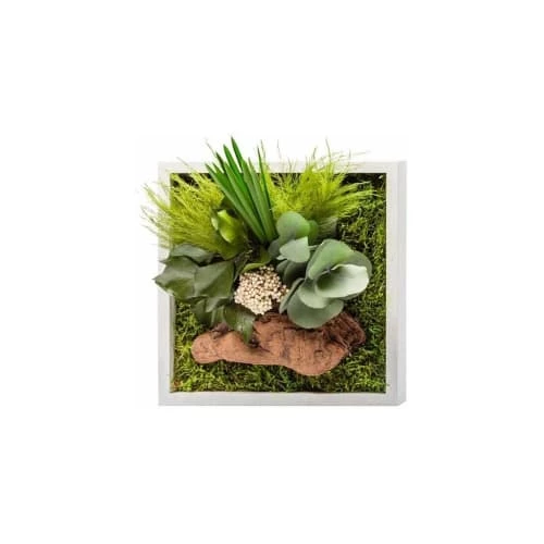 Naturalys Plantes D'intérieur Et Fleurs D'intérieur Tableau Végétal Stabilisé Nature Carré 20 X 20 Cm 4 Naturalys Plantes D'intérieur Et Fleurs D'intérieur Tableau Végétal Stabilisé Nature Carré 20 X 20 Cm – Image 2