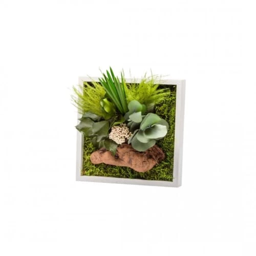 Naturalys Plantes D'intérieur Et Fleurs D'intérieur Tableau Végétal Stabilisé Nature Carré 20 X 20 Cm 3 Naturalys Plantes D'intérieur Et Fleurs D'intérieur Tableau Végétal Stabilisé Nature Carré 20 X 20 Cm