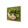 Naturalys Plantes D'intérieur Et Fleurs D'intérieur Tableau Végétal Stabilisé Nature Carré 35 X 35 Cm -Parasols Soldes Magasin tableau vegetal stabilise nature carre 35 x 35 cm