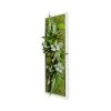 Naturalys Plantes D'intérieur Et Fleurs D'intérieur Tableau Végétal Stabilisé Nature Pano 20 X 70 Cm -Parasols Soldes Magasin tableau vegetal stabilise nature pano 20 x 70 cm