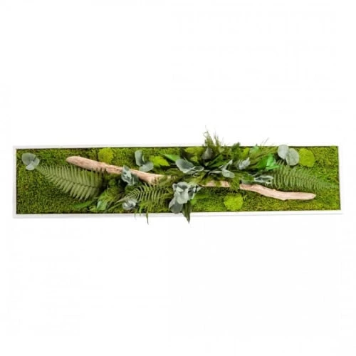 Naturalys Plantes D'intérieur Et Fleurs D'intérieur Tableau Végétal Stabilisé Nature Pano 25 X 115 Cm 4 Naturalys Plantes D'intérieur Et Fleurs D'intérieur Tableau Végétal Stabilisé Nature Pano 25 X 115 Cm – Image 2