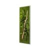 Naturalys Plantes D'intérieur Et Fleurs D'intérieur Tableau Végétal Stabilisé Nature Pano 25 X 115 Cm -Parasols Soldes Magasin tableau vegetal stabilise nature pano 25 x 115 cm