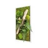 Naturalys Plantes D'intérieur Et Fleurs D'intérieur Tableau Végétal Stabilisé Nature Rectangle 27 X 58 Cm -Parasols Soldes Magasin tableau vegetal stabilise nature rectangle 27 x 58 cm
